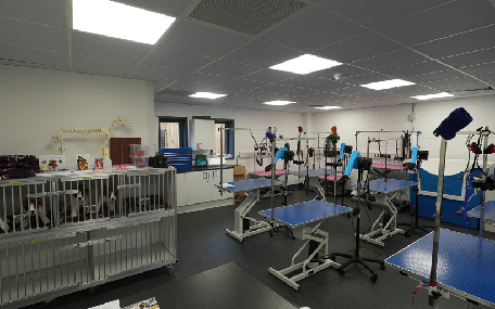 Animal Grooming Training Centre - Internal View