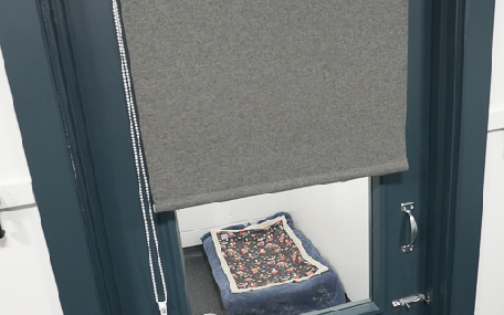 Kennel Waiting Room