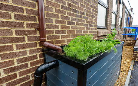 Sustainable Planter Installation
